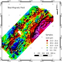 Total Magnetic Field
