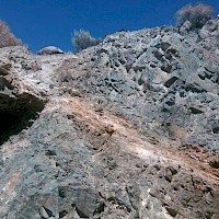 Parasitic veins north of main shear